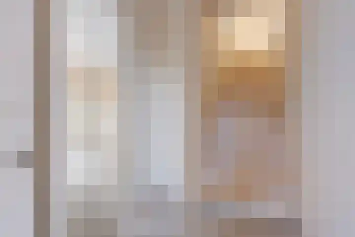 Schaapsdijk 1 a Loosbroek thumbnail 4