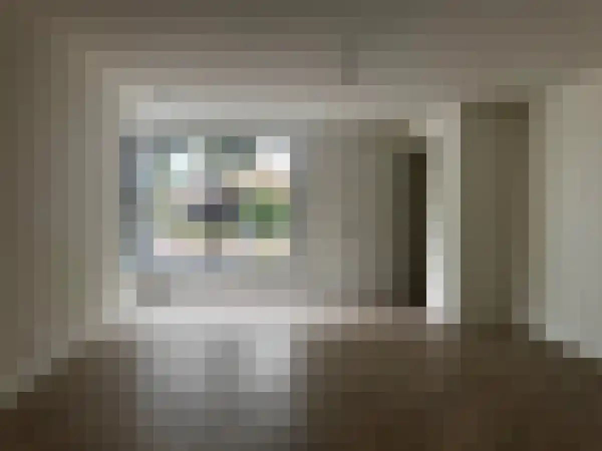 Schaapsdijk 1 Loosbroek thumbnail 4