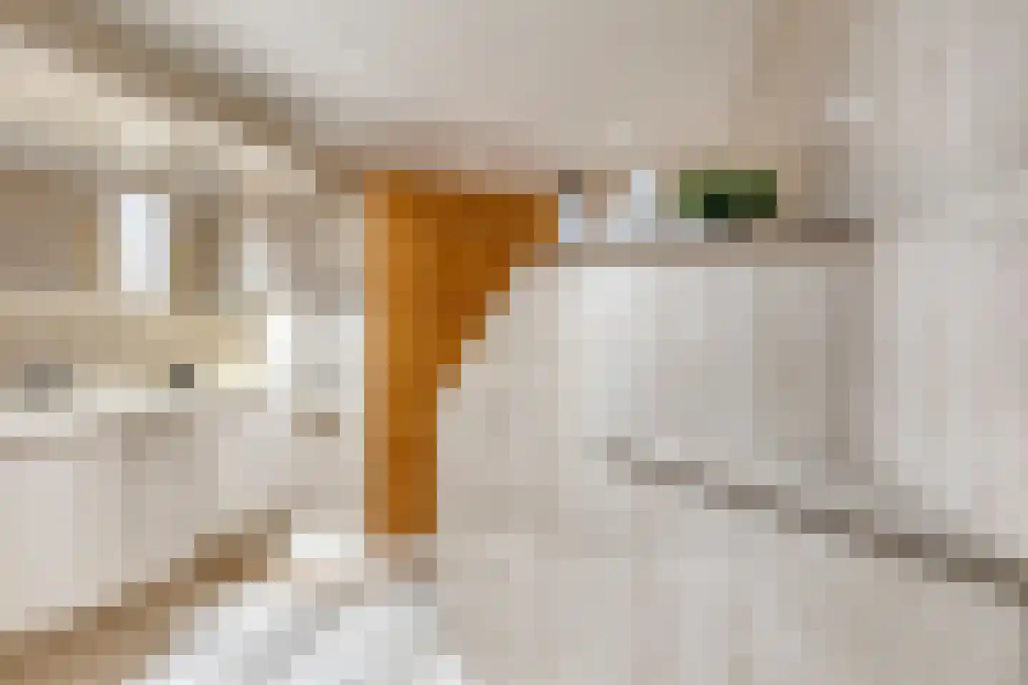 Schaapsdijk 2 a Loosbroek thumbnail 26