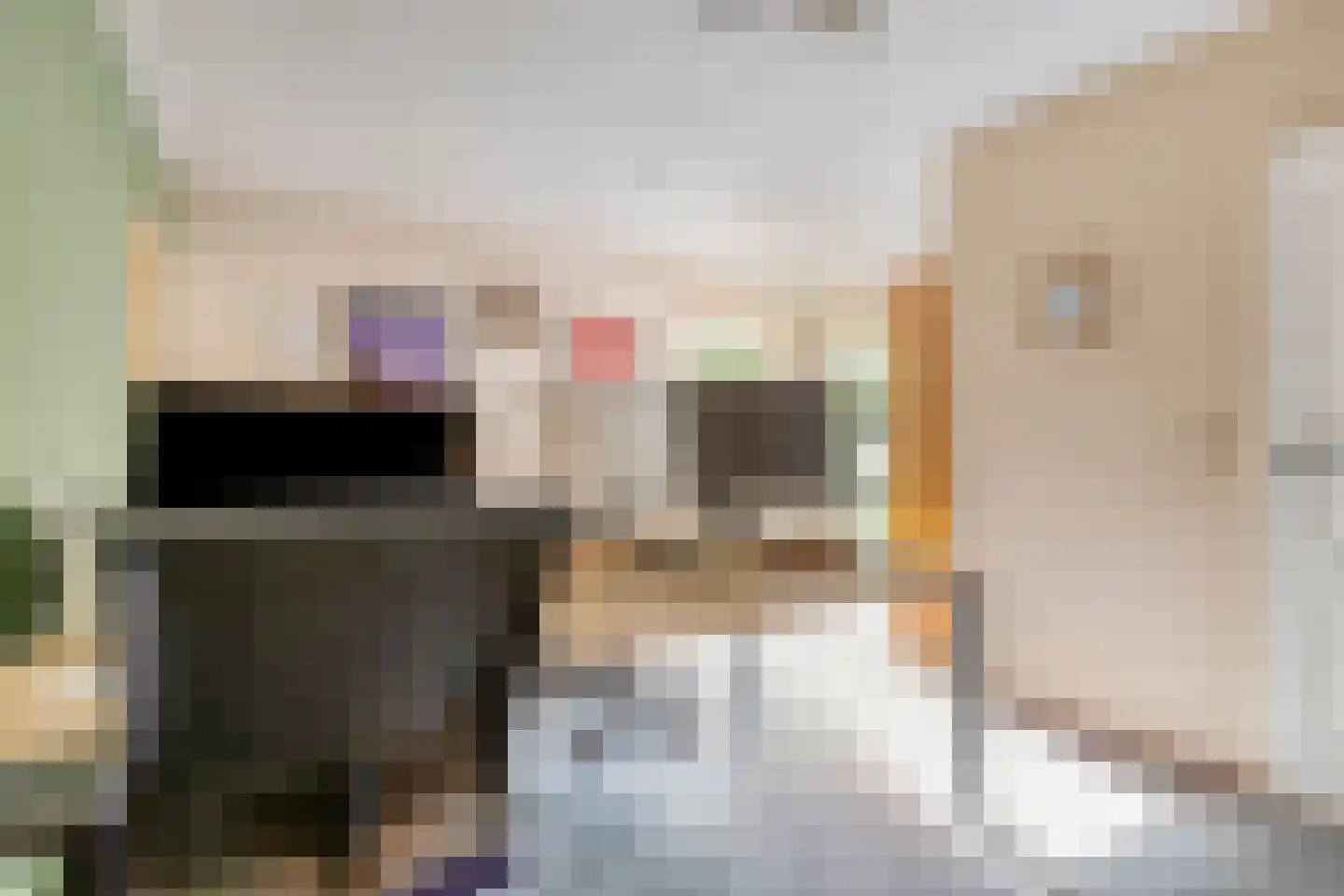 Schaapsdijk 2 a Loosbroek thumbnail 31