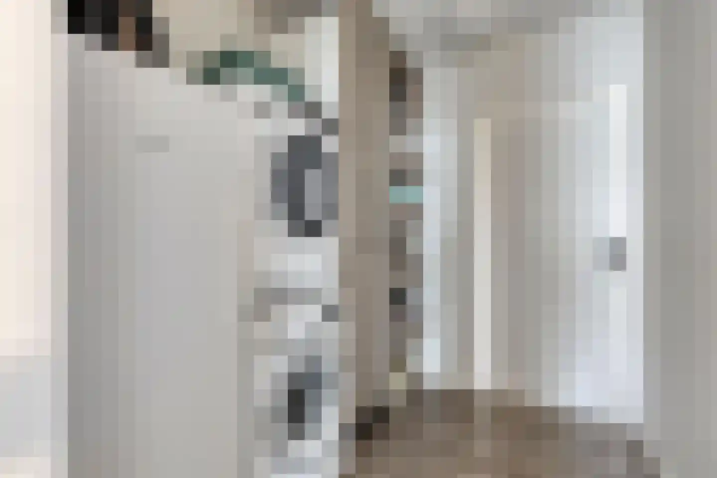 Schaapsdijk 2 a Loosbroek thumbnail 33