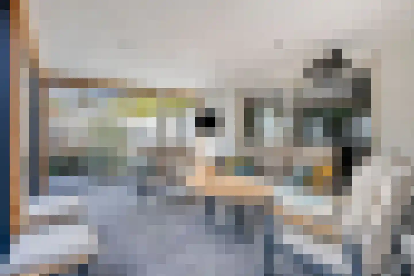 Schaapsdijk 2 a Loosbroek thumbnail 34