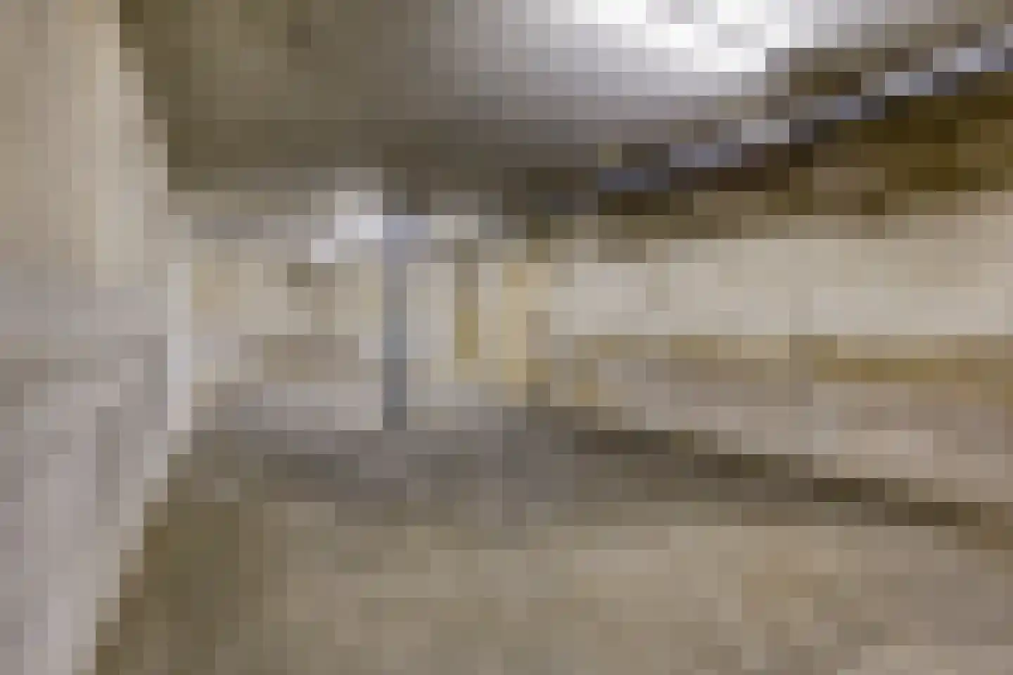 Schaapsdijk 2 a Loosbroek thumbnail 39
