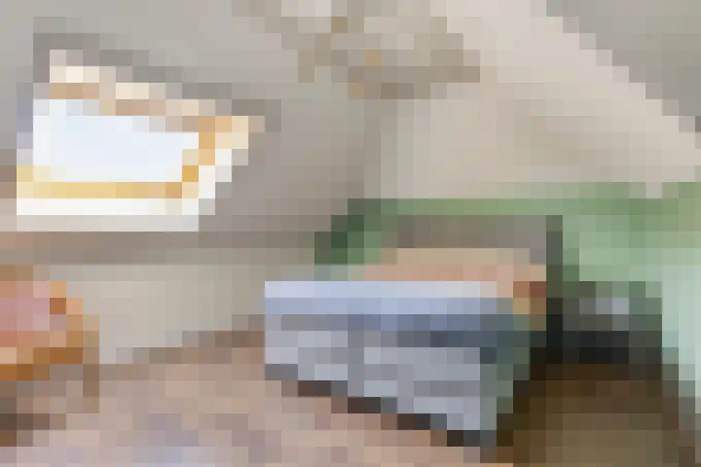 Schaapsdijk 2 a Loosbroek thumbnail 44
