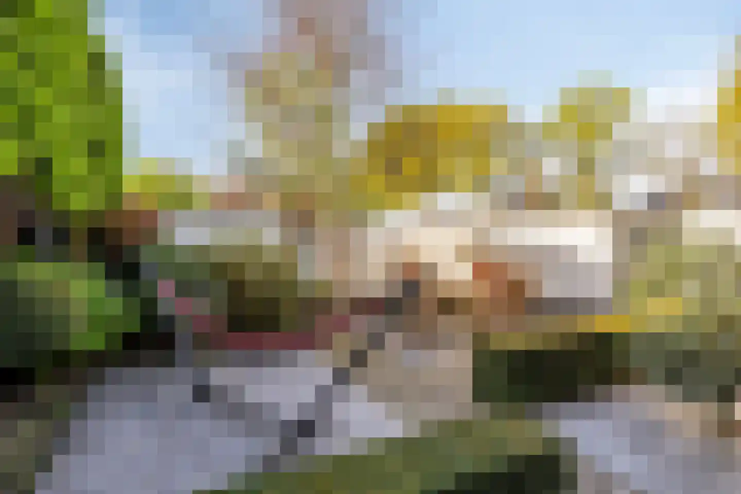Schaapsdijk 2 a Loosbroek thumbnail 56