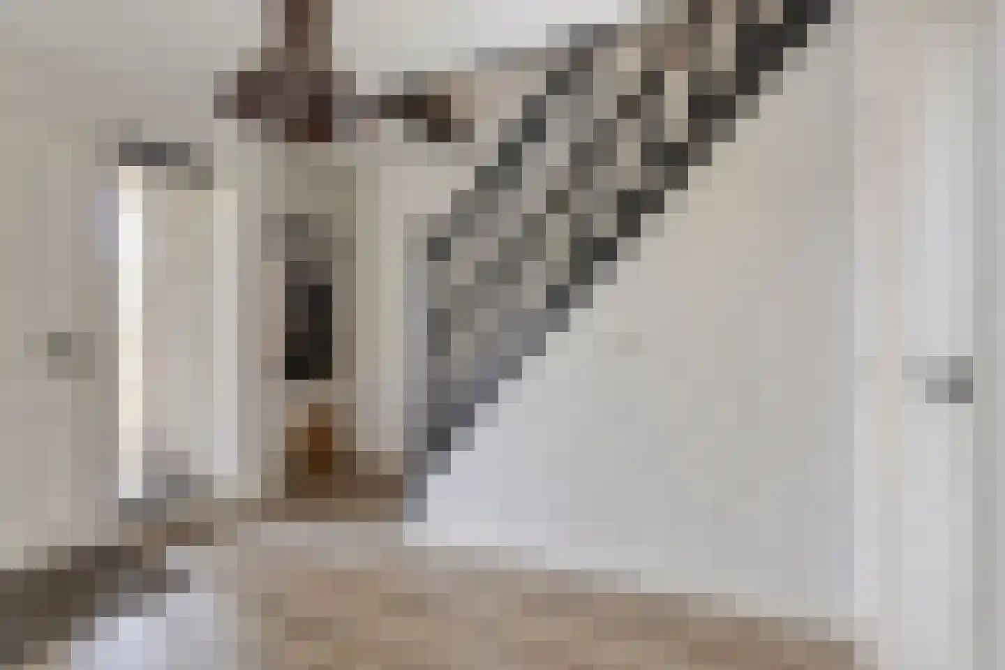 Schaapsdijk 2 a Loosbroek thumbnail 6