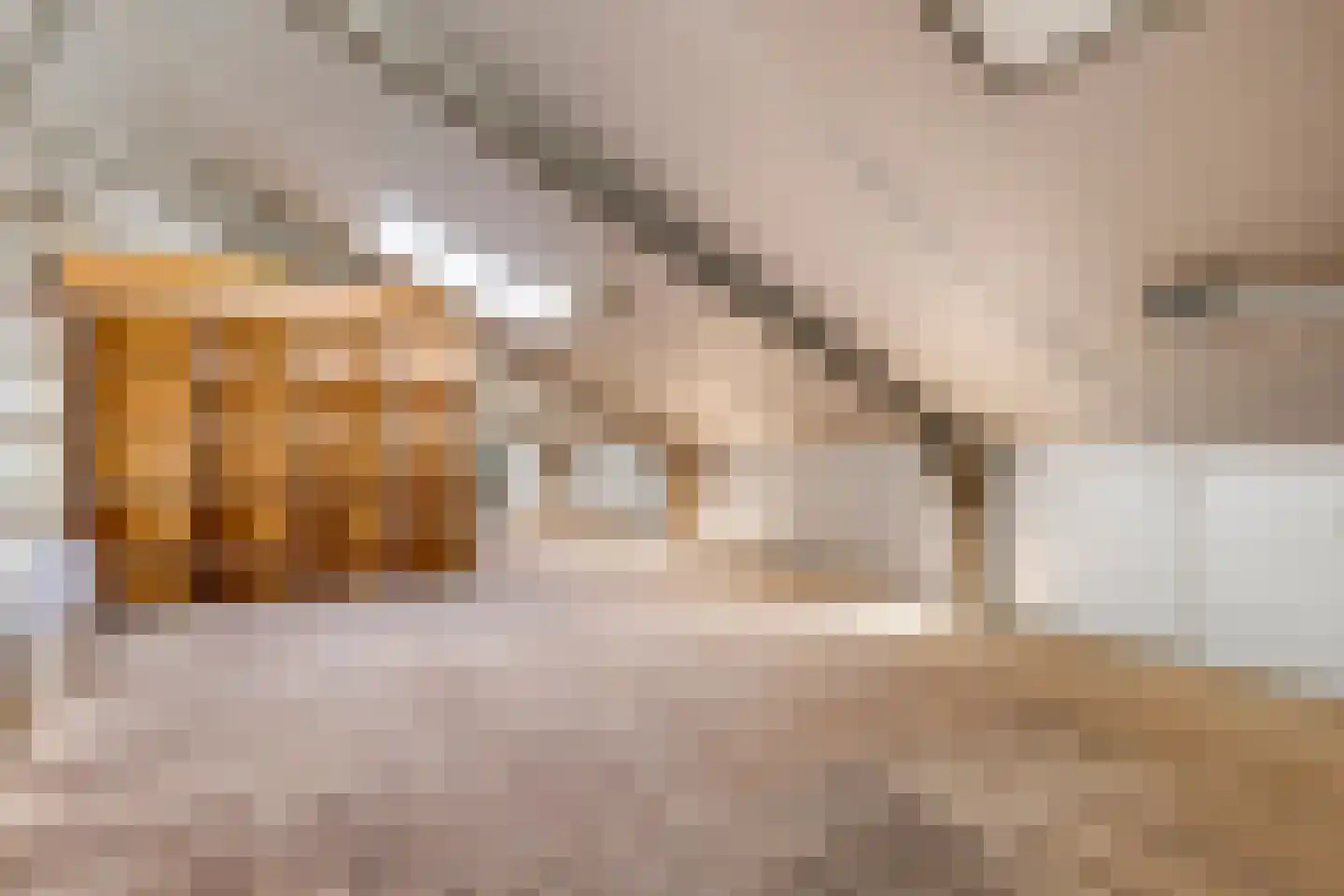 Schaapsdijk 2 a Loosbroek thumbnail 67