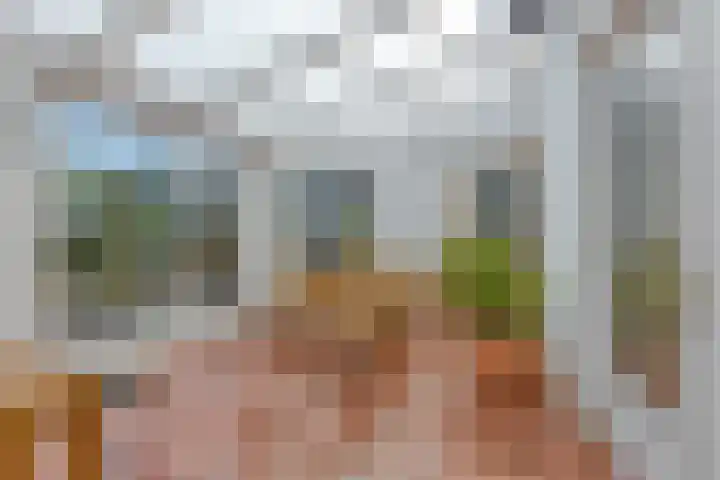 Schaapsdijk 22 Loosbroek thumbnail 12
