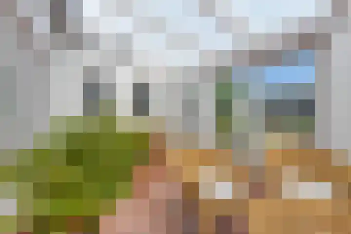 Schaapsdijk 22 Loosbroek thumbnail 13