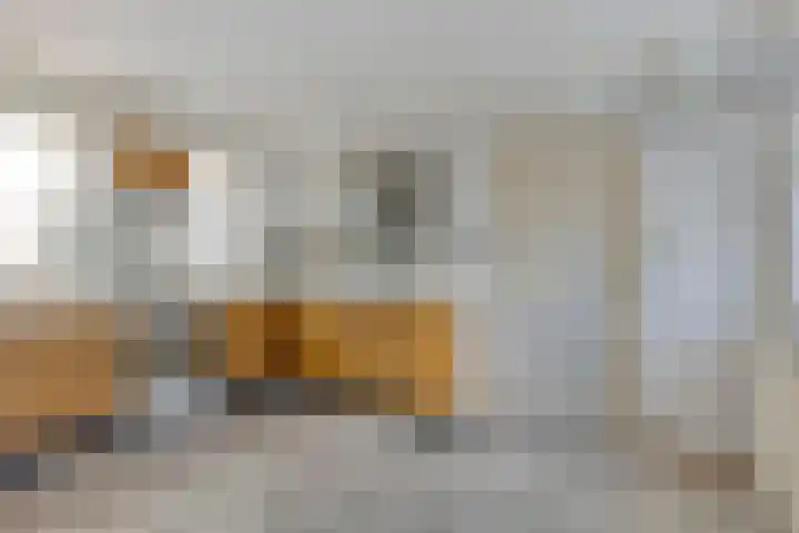 Schaapsdijk 22 Loosbroek thumbnail 15