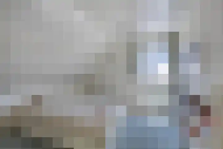 Schaapsdijk 22 Loosbroek thumbnail 19