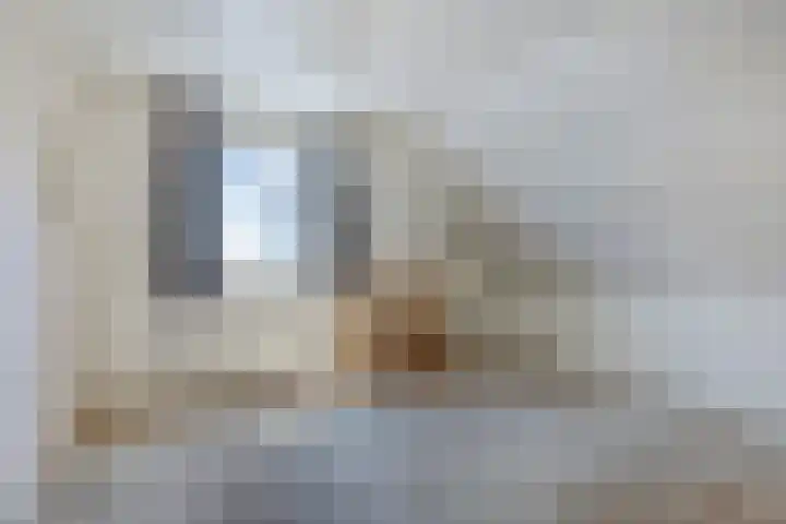 Schaapsdijk 22 Loosbroek thumbnail 21