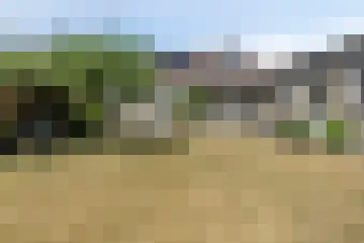 Schaapsdijk 22 Loosbroek thumbnail 31