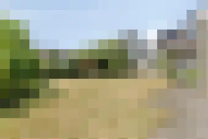 Schaapsdijk 22 Loosbroek thumbnail 32