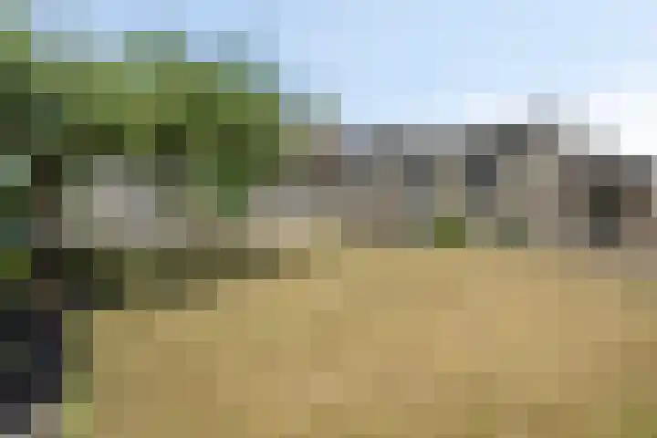 Schaapsdijk 22 Loosbroek thumbnail 33
