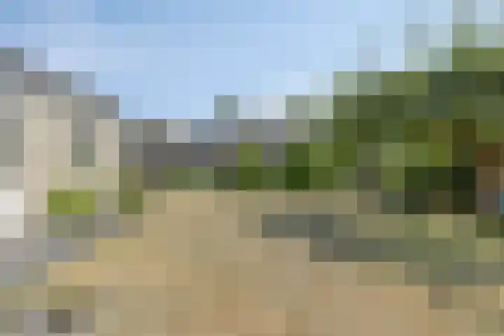 Schaapsdijk 22 Loosbroek thumbnail 34