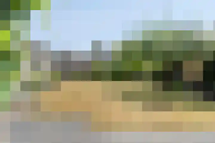 Schaapsdijk 22 Loosbroek thumbnail 35