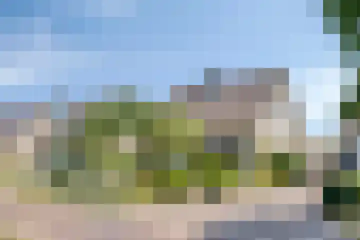 Schaapsdijk 22 Loosbroek thumbnail 37