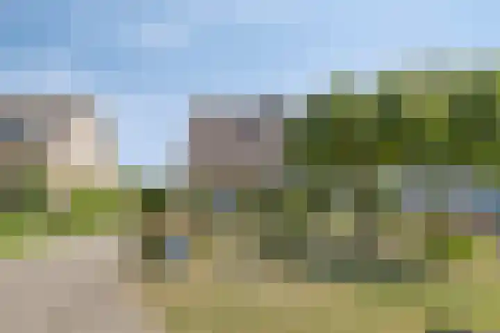 Schaapsdijk 22 Loosbroek thumbnail 38