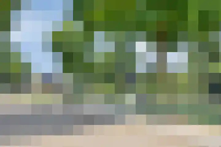 Schaapsdijk 22 Loosbroek thumbnail 40