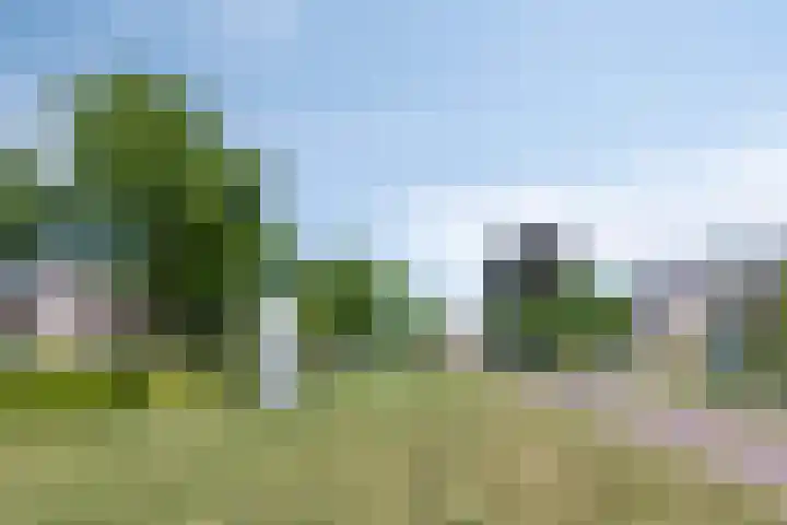 Schaapsdijk 22 Loosbroek thumbnail 41