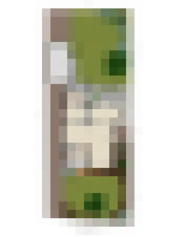 Schaapsdijk 22 Loosbroek thumbnail 42