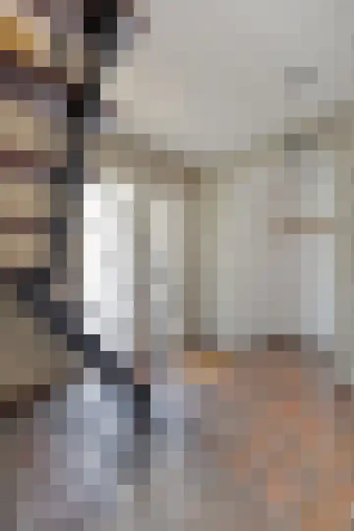 Schaapsdijk 22 Loosbroek thumbnail 6