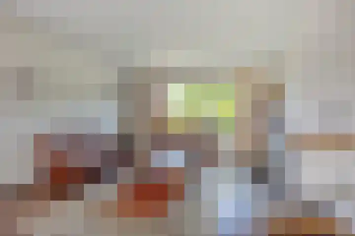 Schaapsdijk 22 Loosbroek thumbnail 8