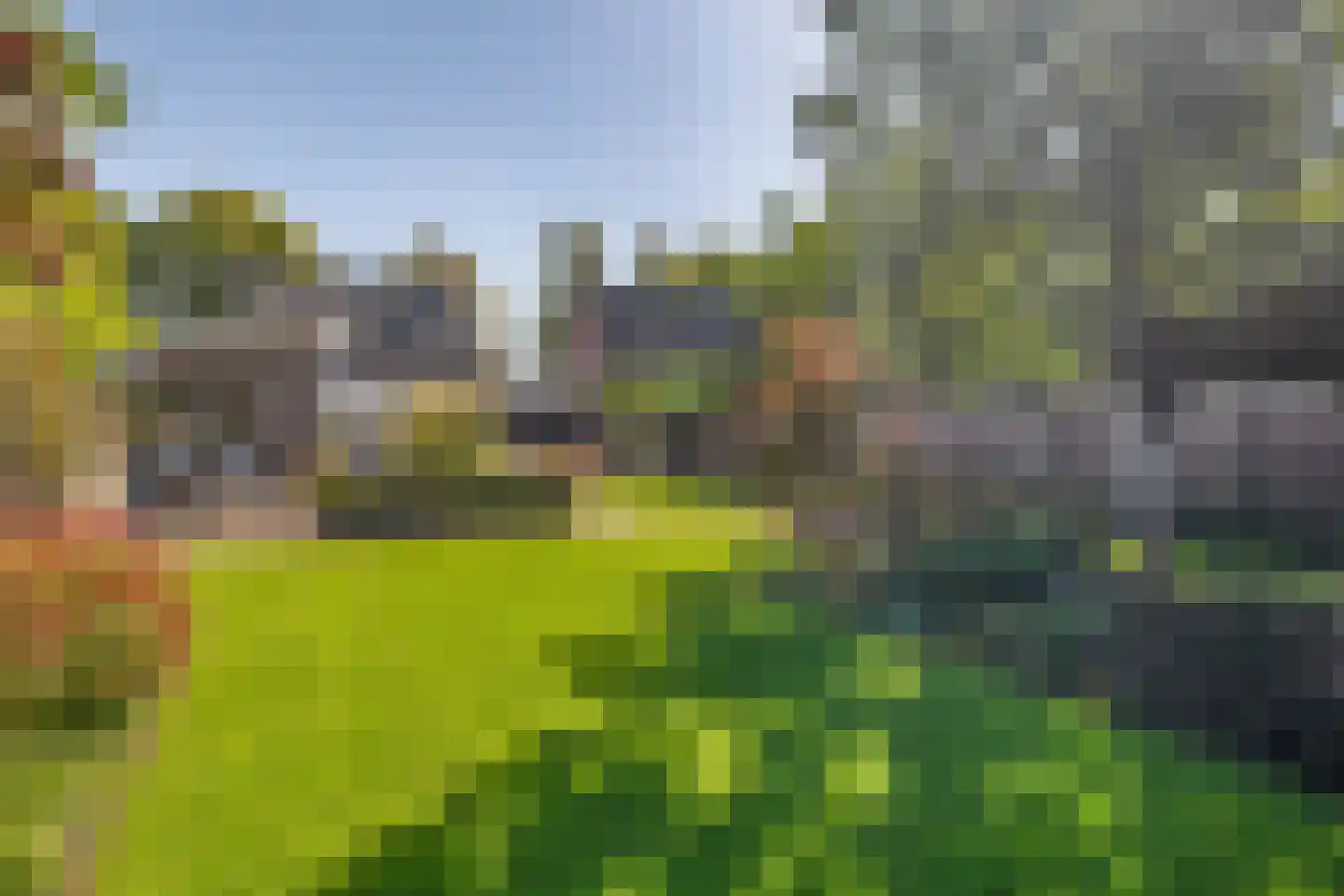 Schaapsdijk 9 Loosbroek thumbnail 31