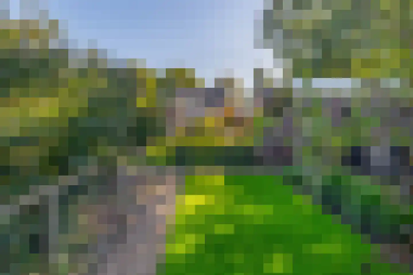 Schaapsdijk 9 Loosbroek thumbnail 32