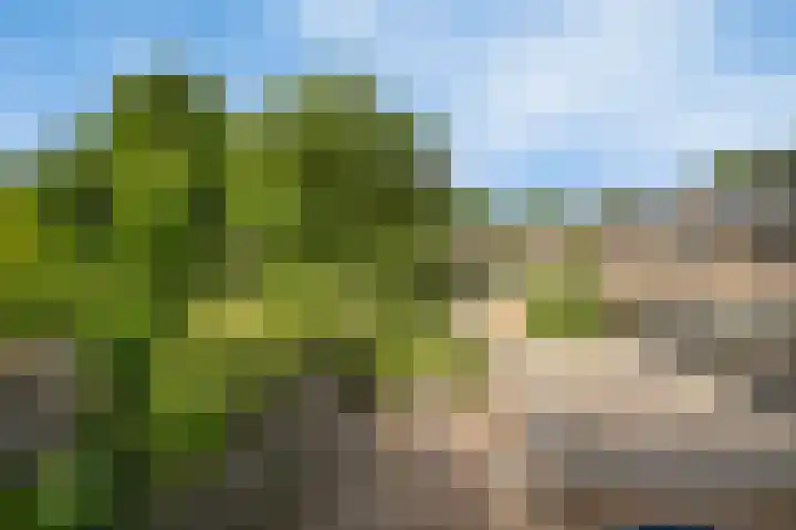 Schaapsdijkweg 26 Venlo thumbnail 13