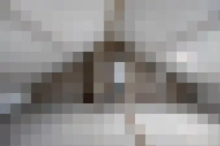 Schaapsdijkweg 26 Venlo thumbnail 18