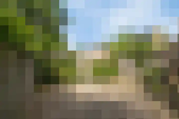 Schaapsdijkweg 26 Venlo thumbnail 25