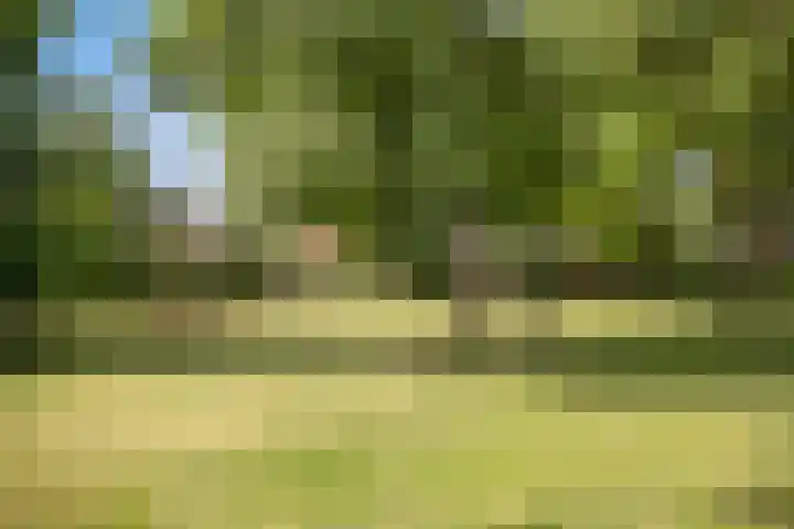 Schaapsdijkweg 26 Venlo thumbnail 27