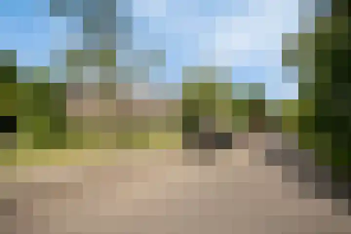 Schaapsdijkweg 26 Venlo thumbnail 31