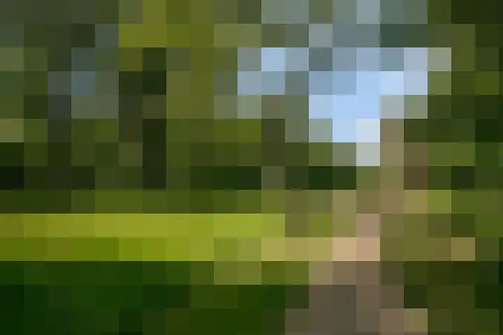 Schaapsdijkweg 26 Venlo thumbnail 32
