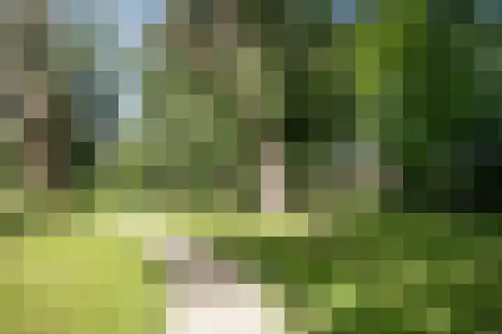 Schaapsdijkweg 26 Venlo thumbnail 33