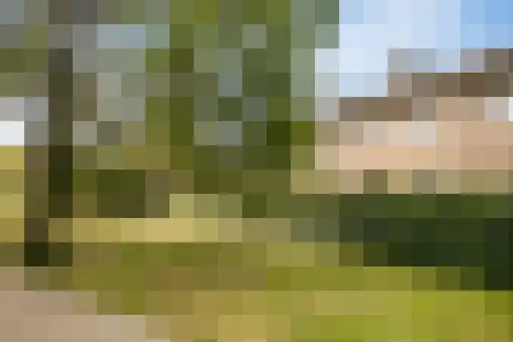 Schaapsdijkweg 26 Venlo thumbnail 37