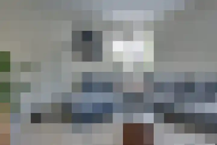 Schaapsdreef 4 Den Bommel thumbnail 12