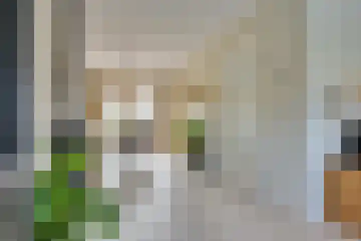Schaapsdreef 4 Den Bommel thumbnail 16