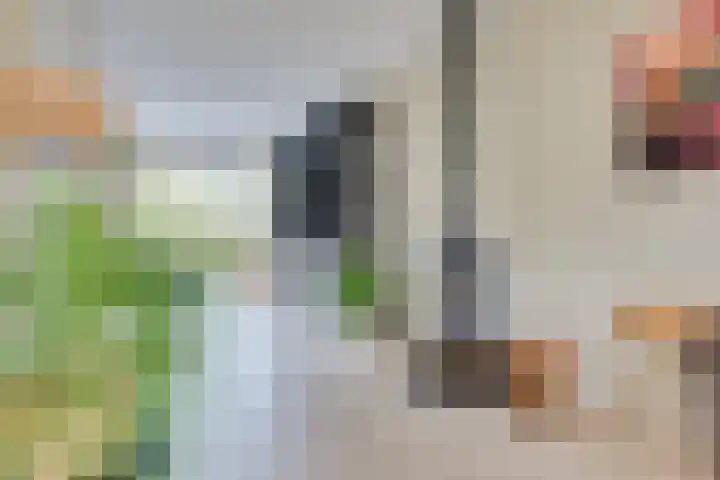 Schaapsdreef 4 Den Bommel thumbnail 18