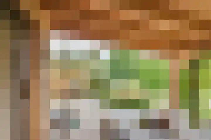 Schaapsdreef 4 Den Bommel thumbnail 31