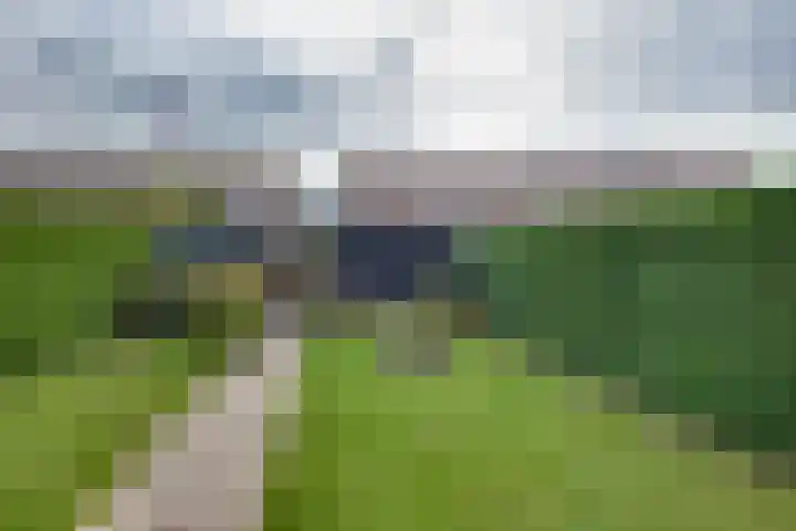 Schaapsdreef 4 Den Bommel thumbnail 33