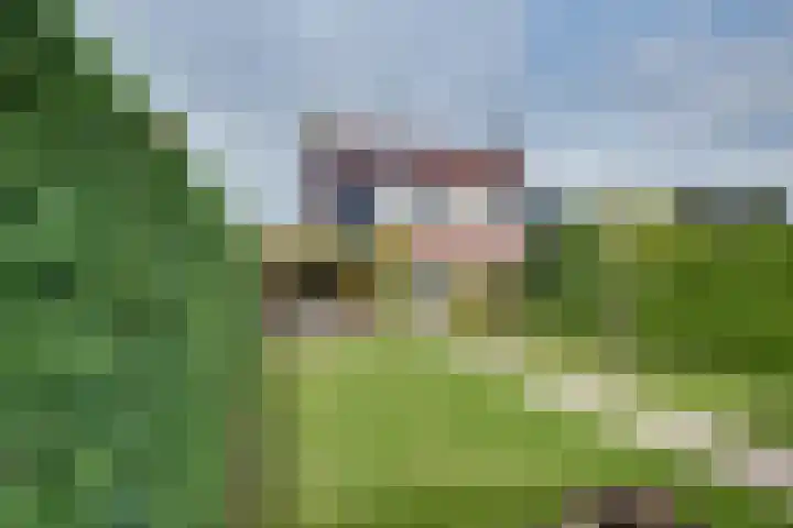 Schaapsdreef 4 Den Bommel thumbnail 37