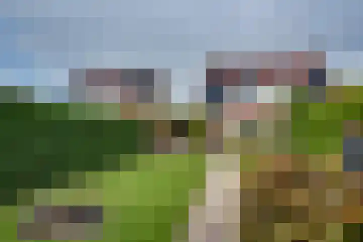 Schaapsdreef 4 Den Bommel thumbnail 38