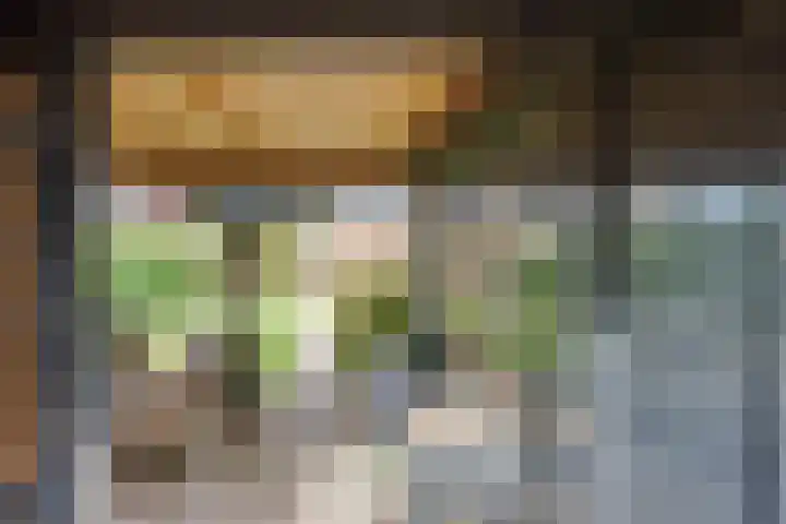 Schaapsdreef 4 Den Bommel thumbnail 41