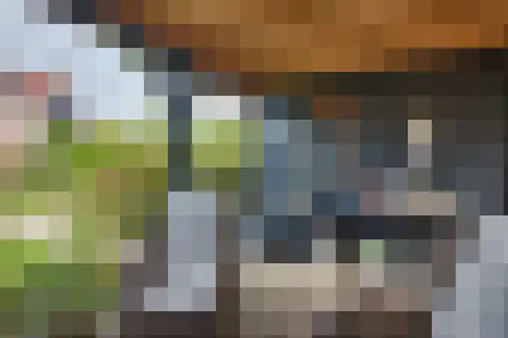 Schaapsdreef 4 Den Bommel thumbnail 44