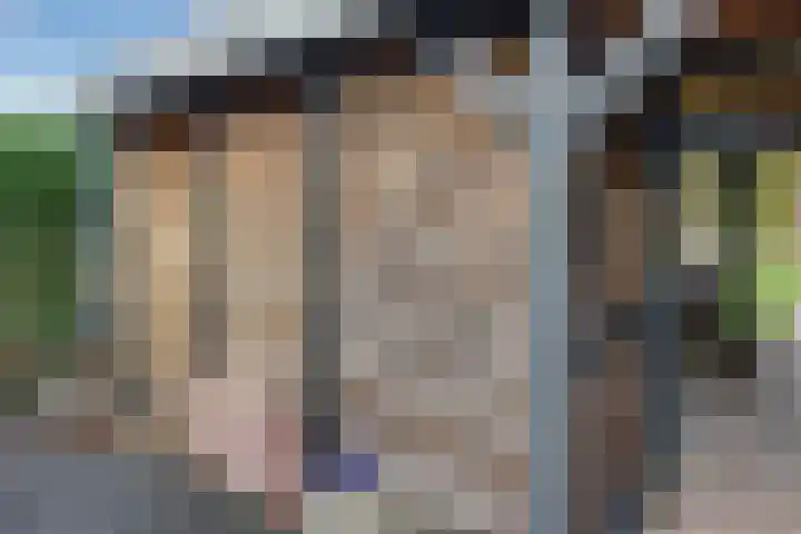 Schaapsdreef 4 Den Bommel thumbnail 46