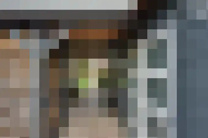 Schaapsdreef 4 Den Bommel thumbnail 47
