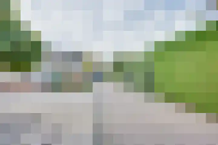Schaapsdreef 4 Den Bommel thumbnail 5